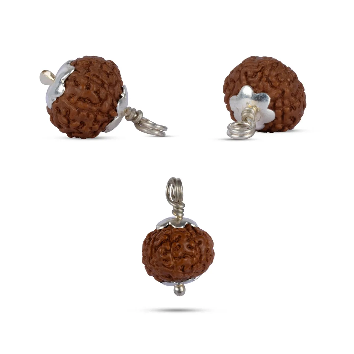 10 Face Rudraksha Pendant | Silver Cup Rudraksha Pendant/ Java Rudraksh Locket for Men & Women