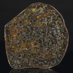 Authentic Kenya Sericho Pallasite Olivine Meteorite - 359 g