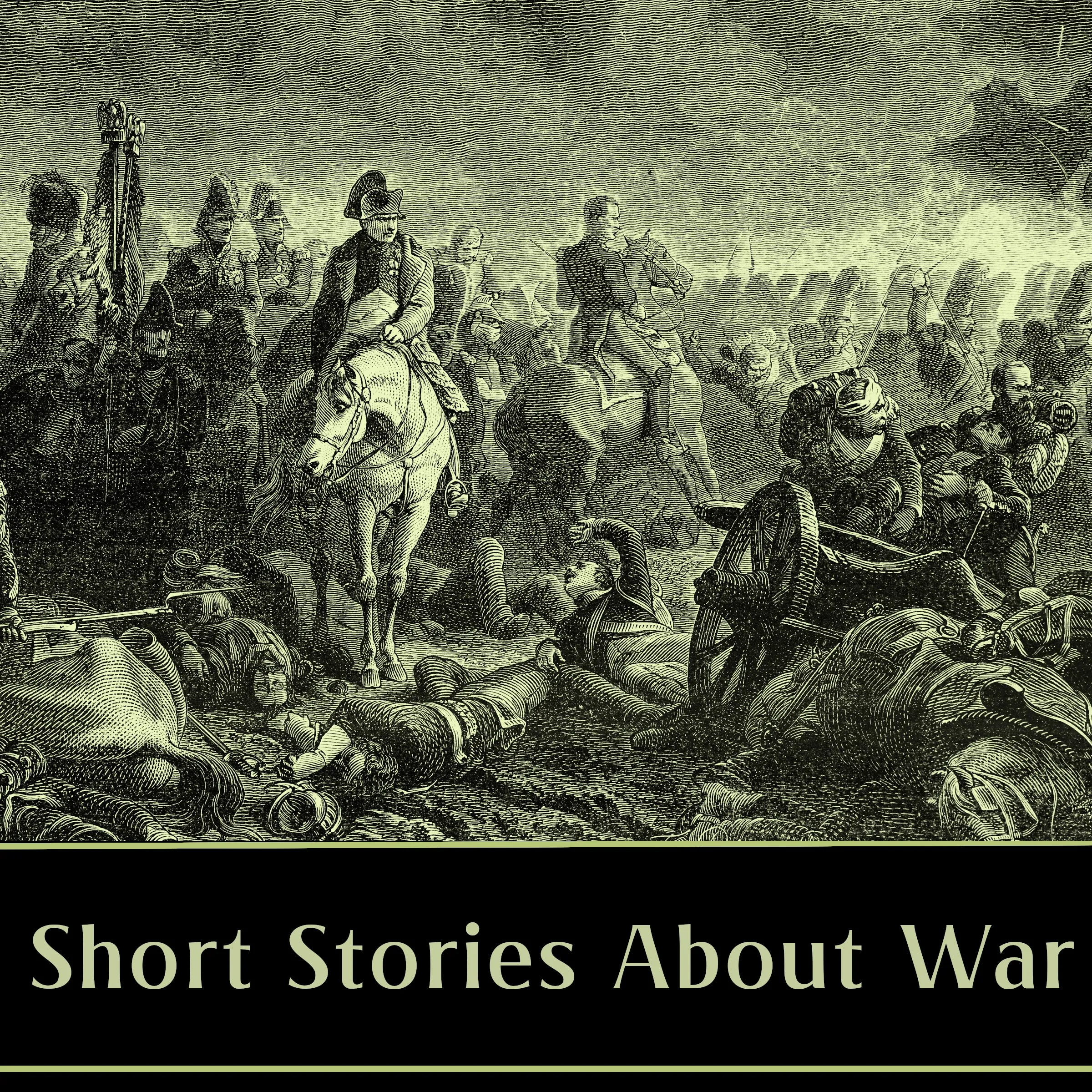 Short Stories About War (Audibook)