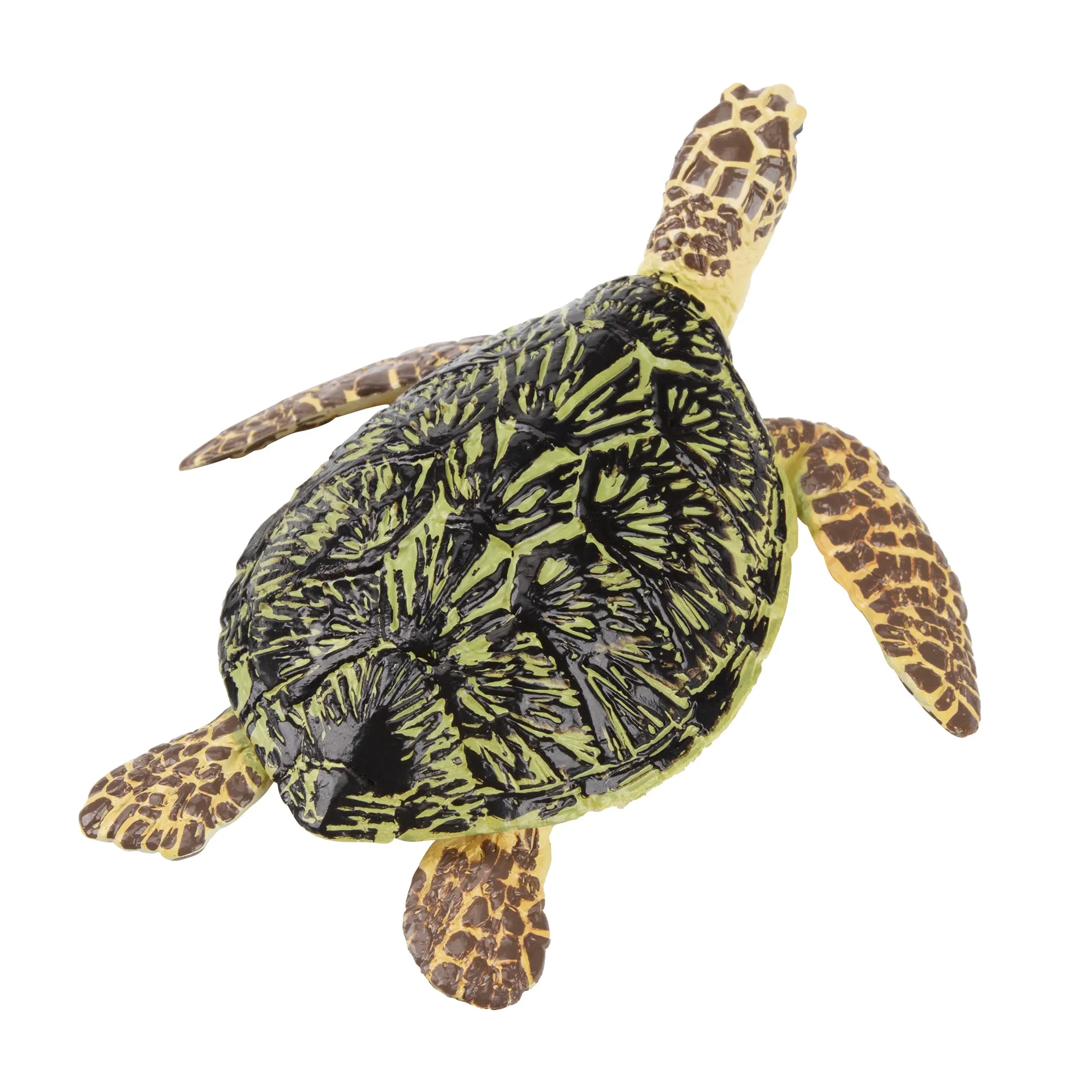 Toymany Loggerhead Sea Turtle Figurine Toy