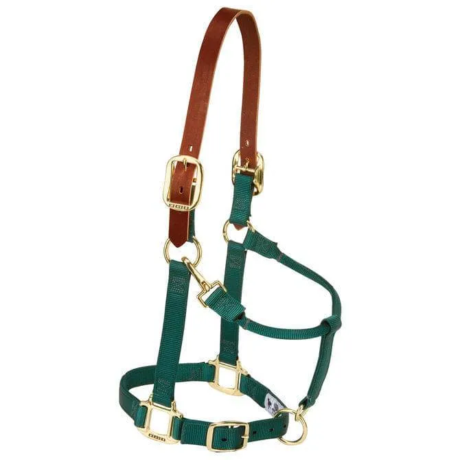 Weaver Leather Nylon Breakaway Halter for Horses