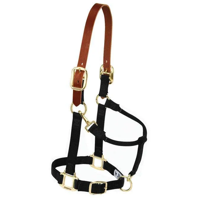 Weaver Leather Nylon Breakaway Halter for Horses