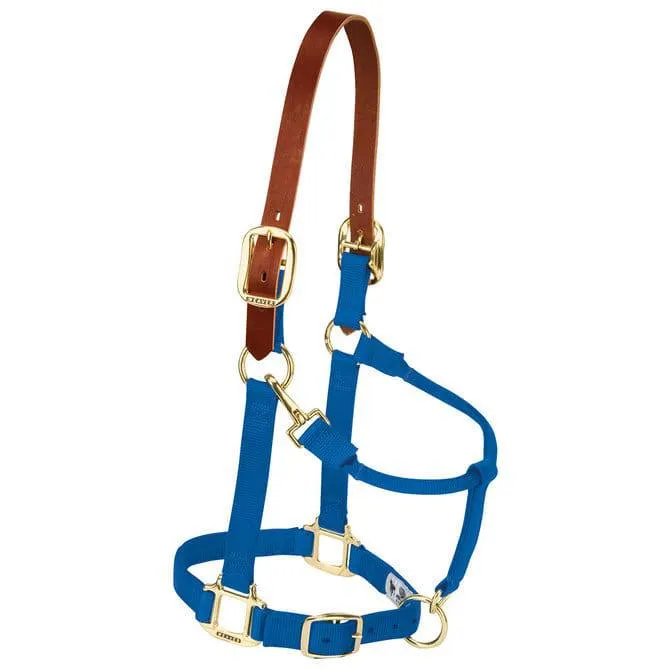 Weaver Leather Nylon Breakaway Halter for Horses